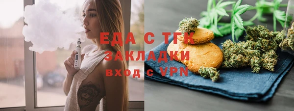 индика Алексин