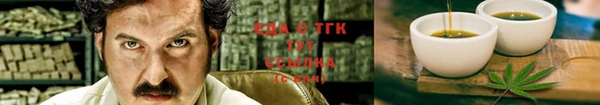 индика Алексин