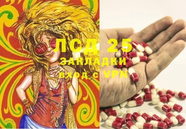 прущие грибы Алексеевка