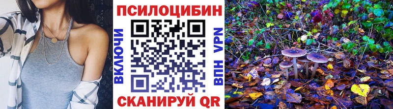 Галлюциногенные грибы Psilocybe  Берёзовский 